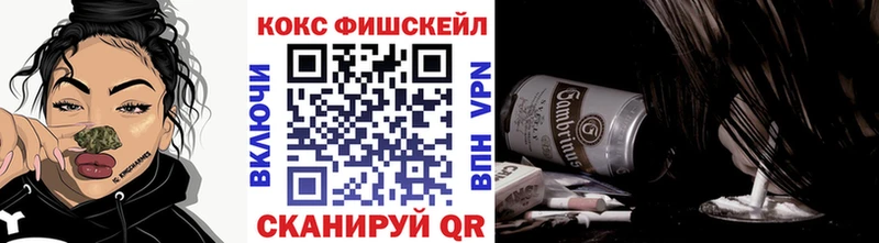 MEGA как войти Карасук Кокаин Боливия