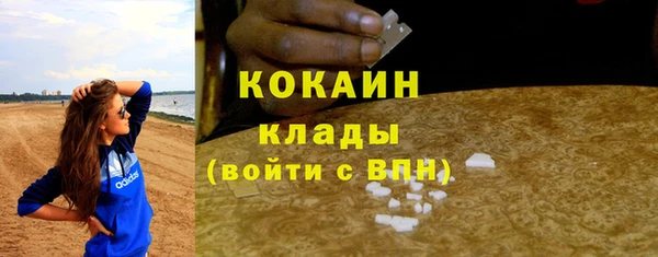 прущие крисы Алзамай