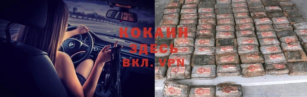 прущие крисы Алзамай