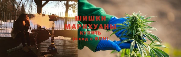 прущие крисы Алзамай