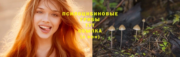 мет Абинск