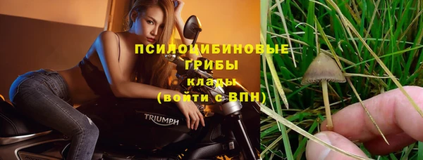 дмт Абдулино