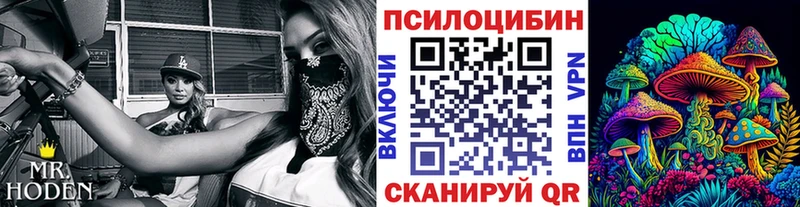 даркнет клад  ссылка на мегу ONION  Карасук  наркошоп  Псилоцибиновые грибы прущие грибы 